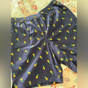 Coral Bay Everyday Pull on Navy PINEAPPLE Shorts 9” Bermuda Length Sz 1X Plus